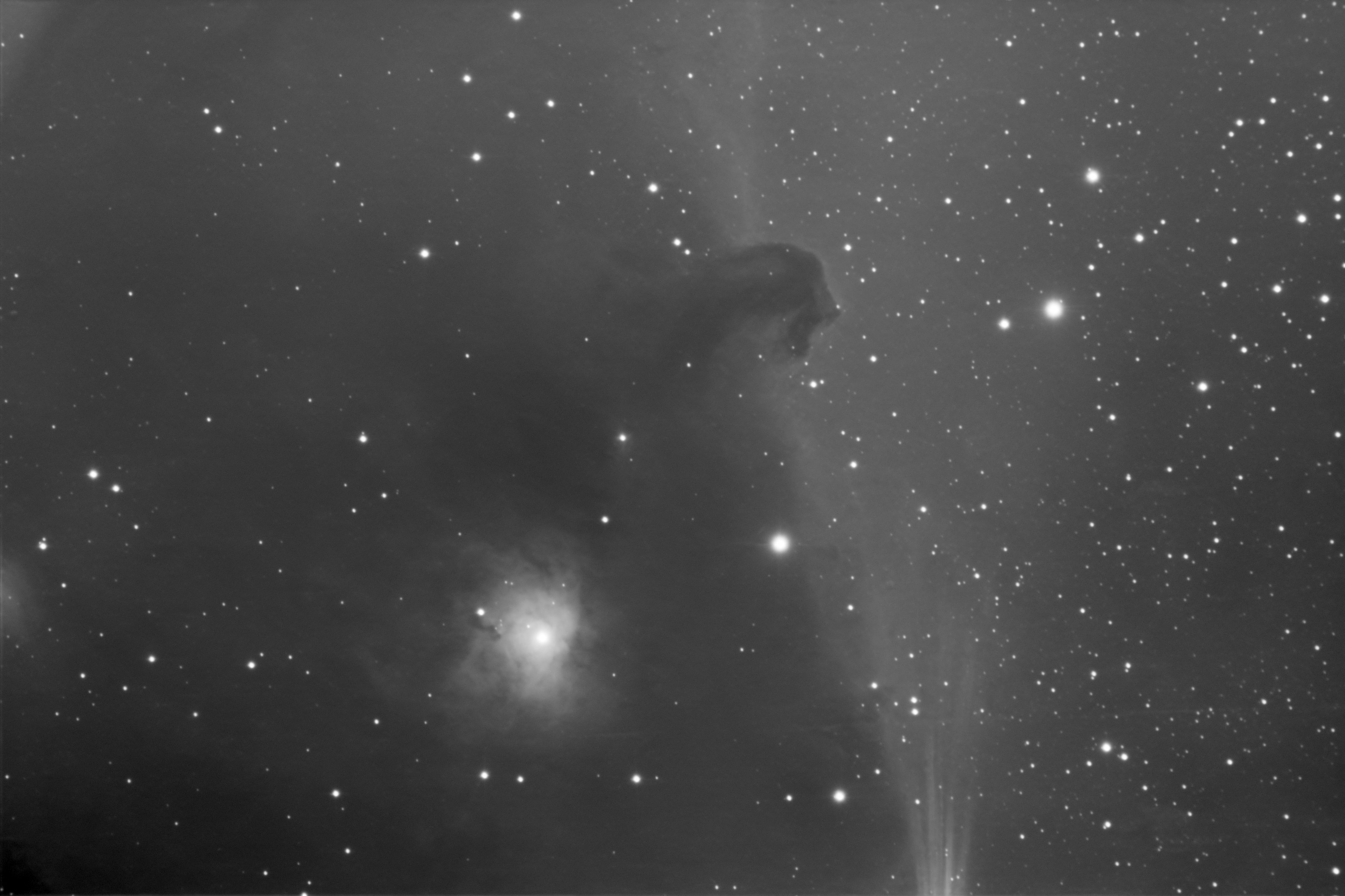 monochrome (grey scale) image of Horsehead Neb using the Clear filter