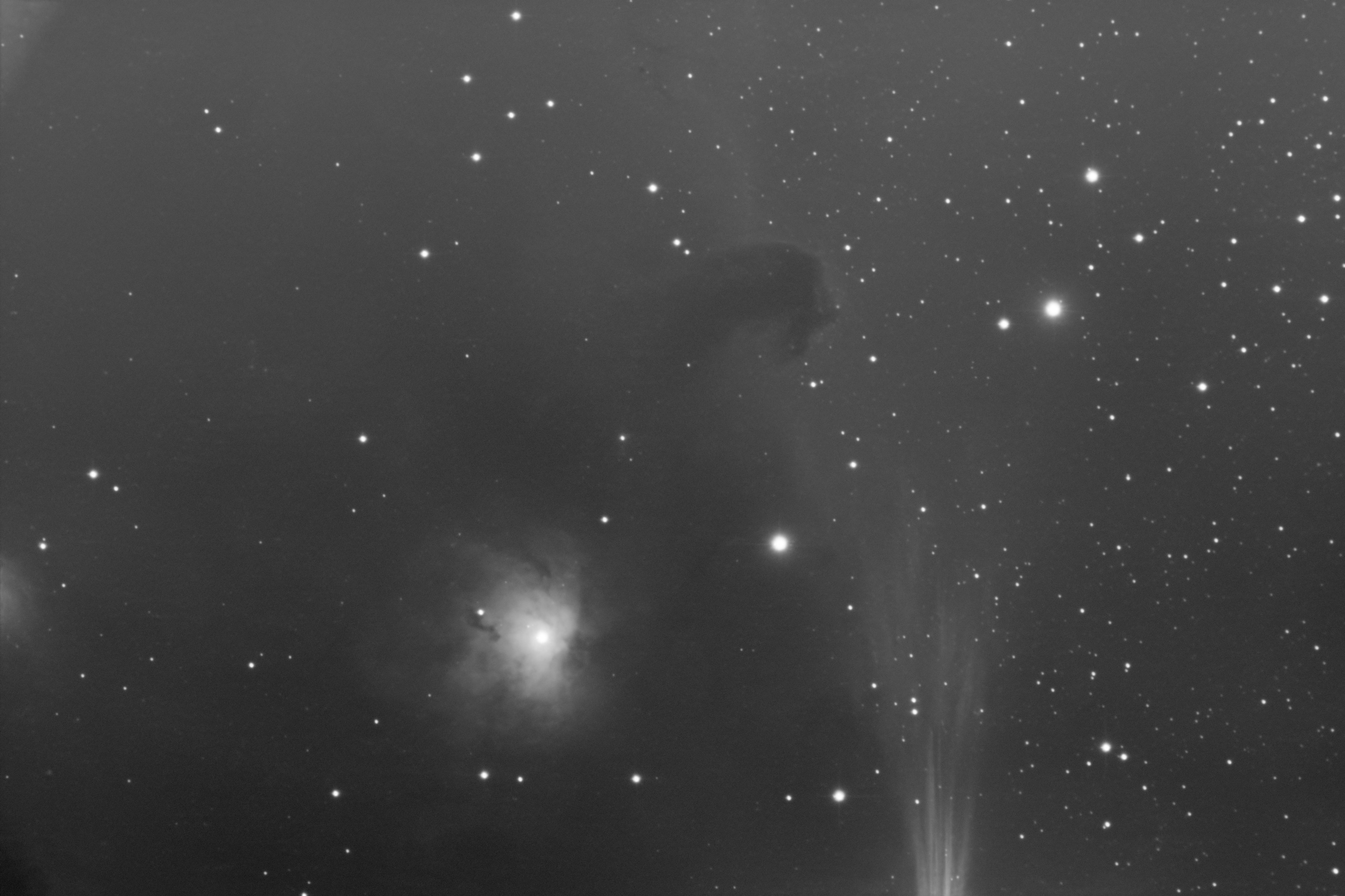 monochrome (grey scale) image of Horsehead Neb using the Sloan g' filter