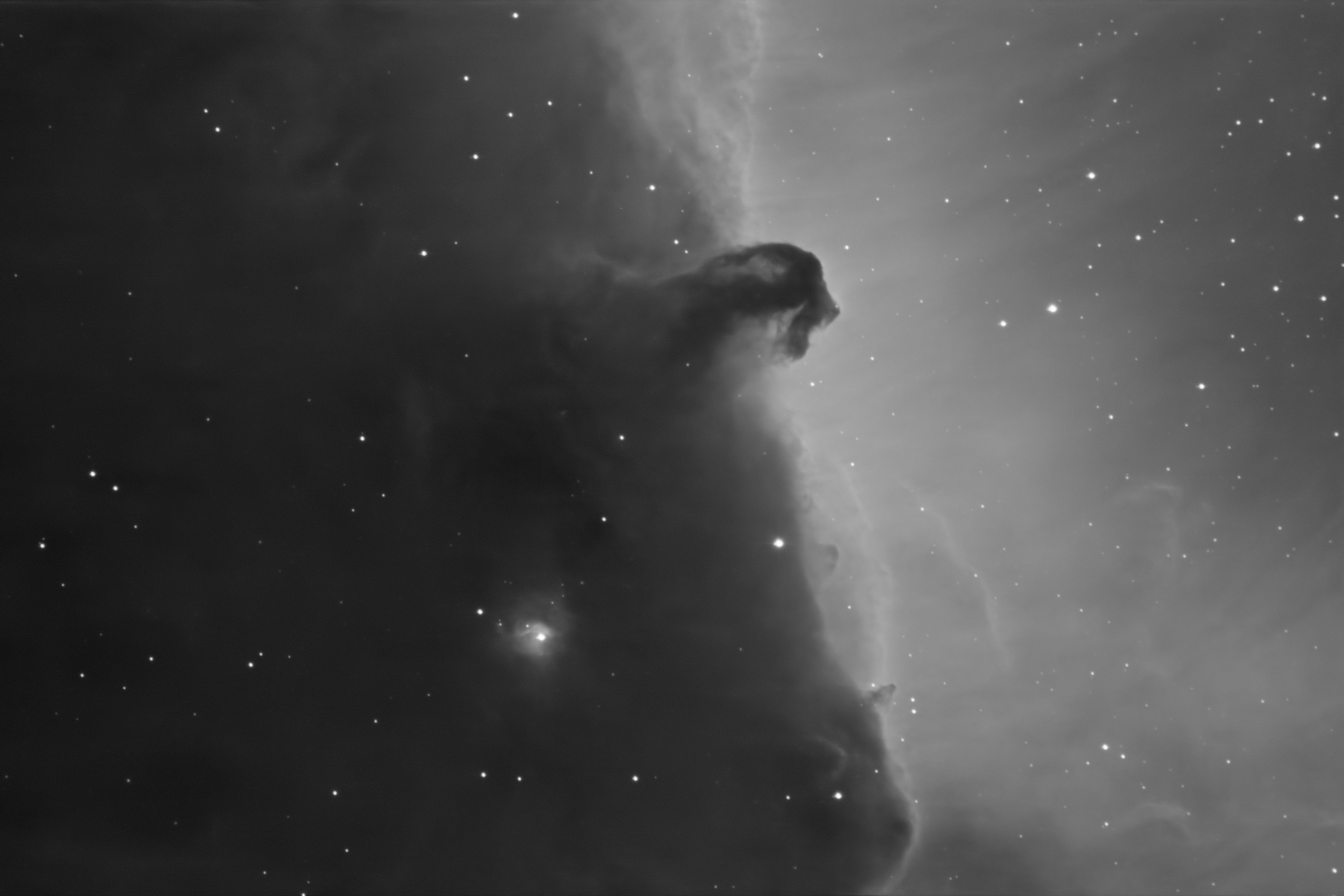 monochrome (grey scale) image of Horsehead Neb using the H-alpha filter