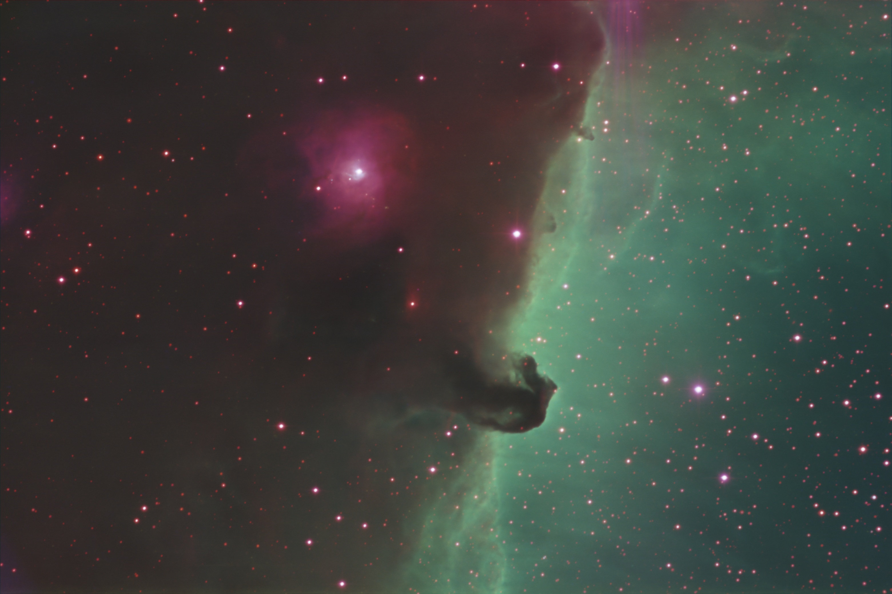color image of Horsehead Neb