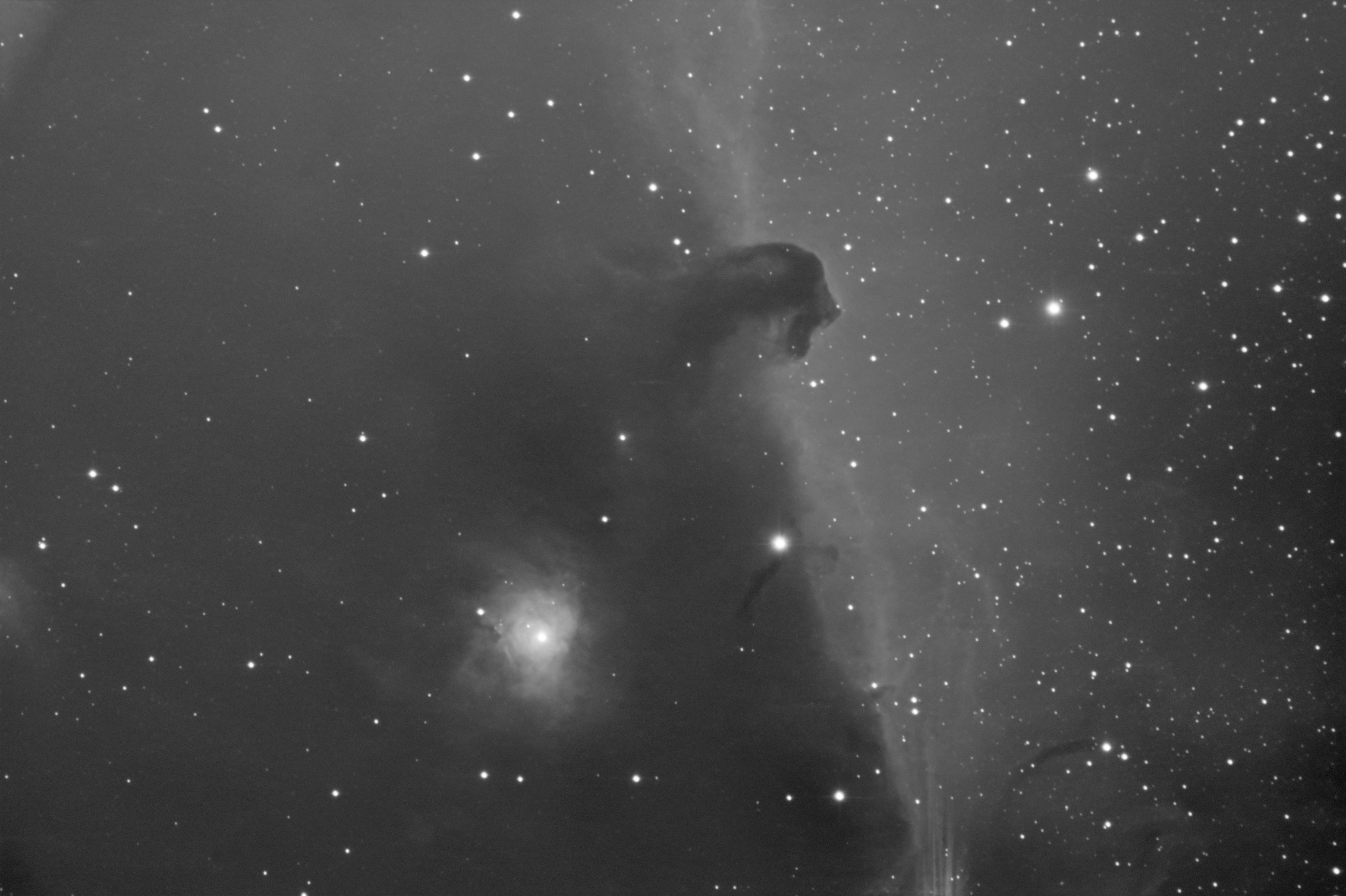 monochrome (grey scale) image of Horsehead Neb using the Sloan r' filter