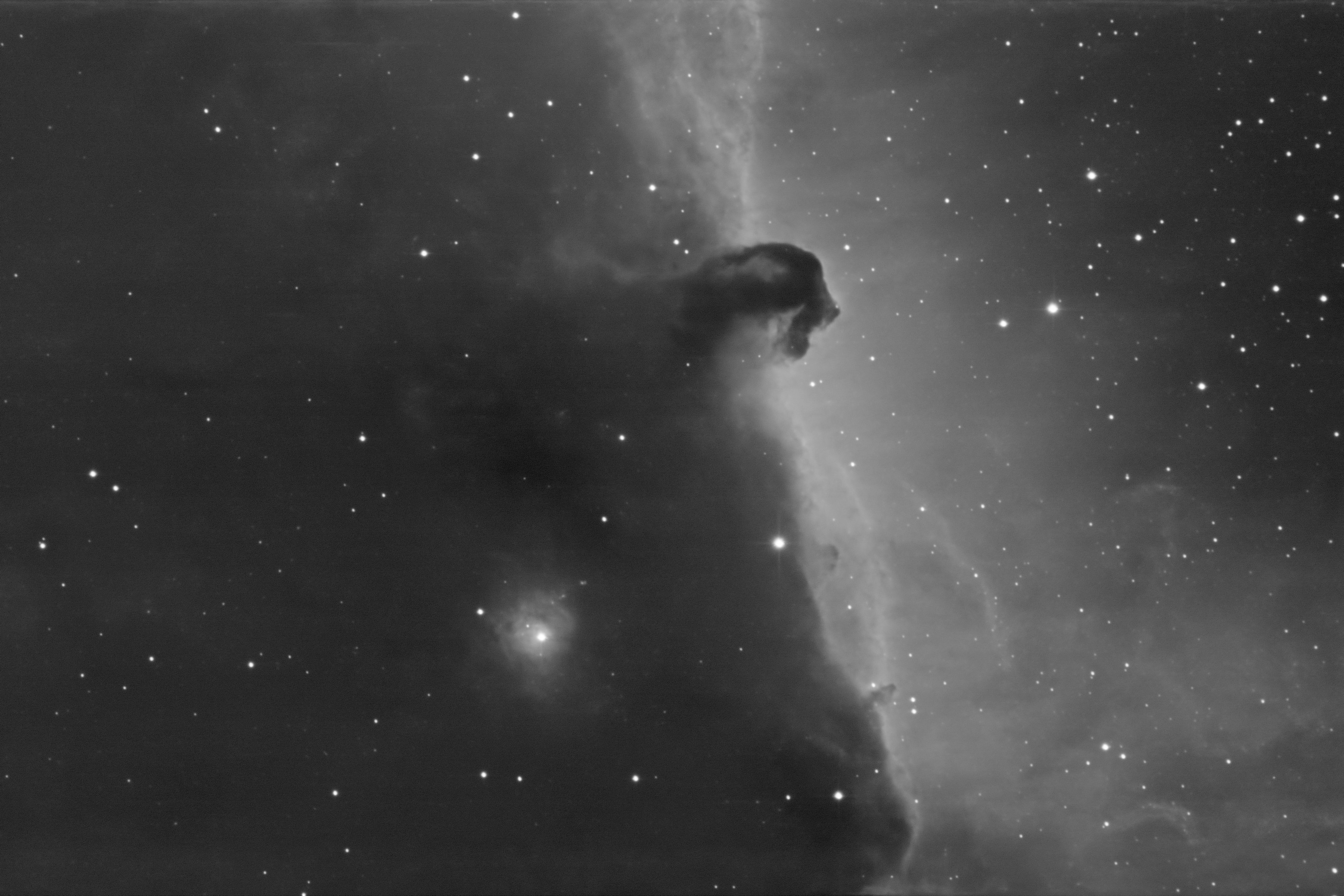 monochrome (grey scale) image of Horsehead Neb using the [S II] filter
