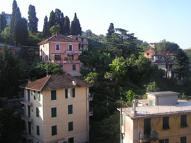 P6181540.JPG