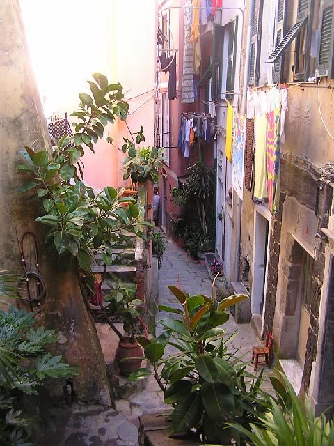 P6181598.JPG