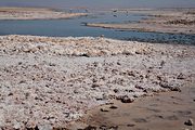 Salar de Atacama, near San Pedro de Atacama, Chile (2007/12/09)