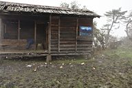 Goechala trek (Day 3: Tshoka to Dzongri), near Yuksom, Sikkim, India (2008/05/21)