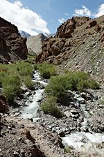 Trail to Yurutse, Hemis National Park, Ladakh, India (2012/07/28)